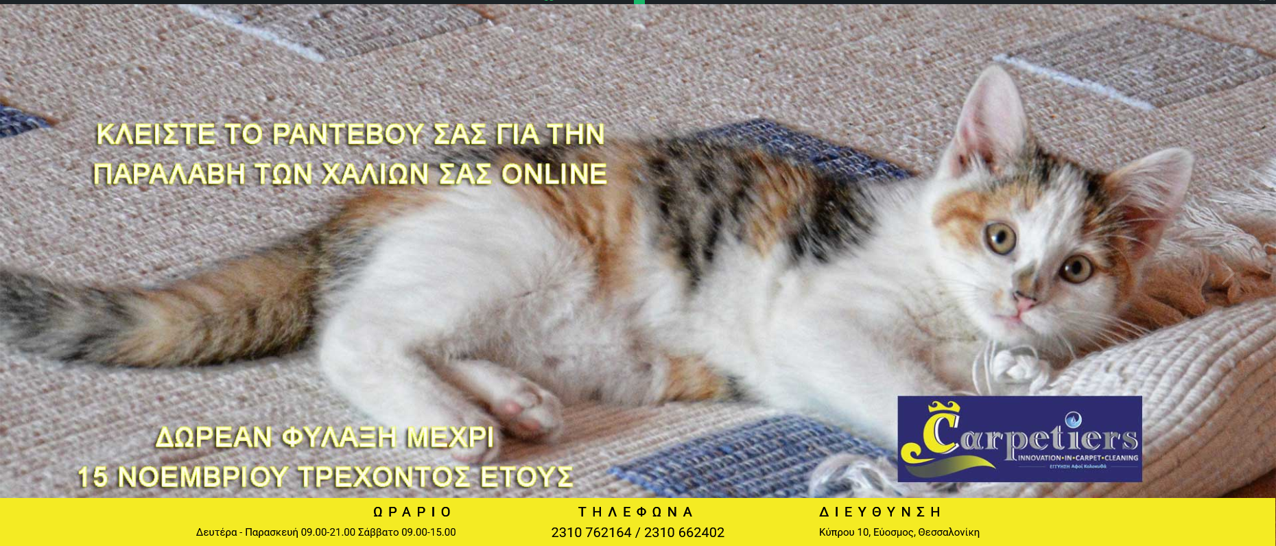 Screenshot 2026-10-07 at 12-17-01 Carpetiers – Innovation in Carpet Cleaning